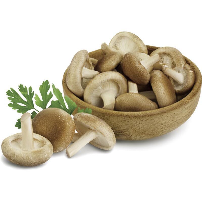 Shitake 200g
