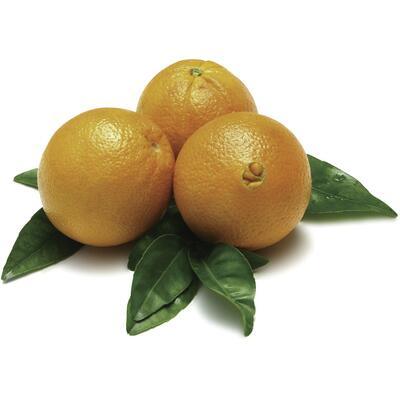 Laranja Importada Quilo