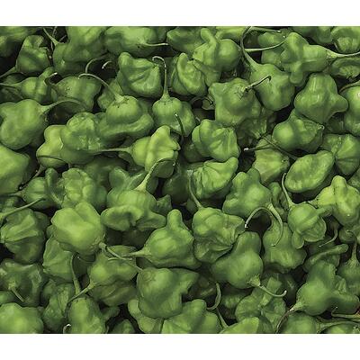 Pimenta Cambuci Quilo