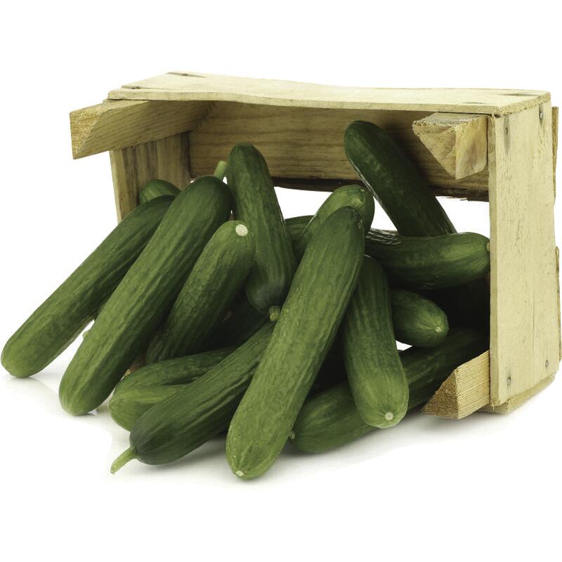 Pepino Japonês 20kg