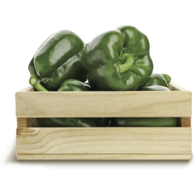 Pimentão Verde 9kg