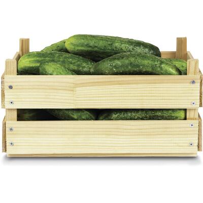 Pepino Caipira 20kg