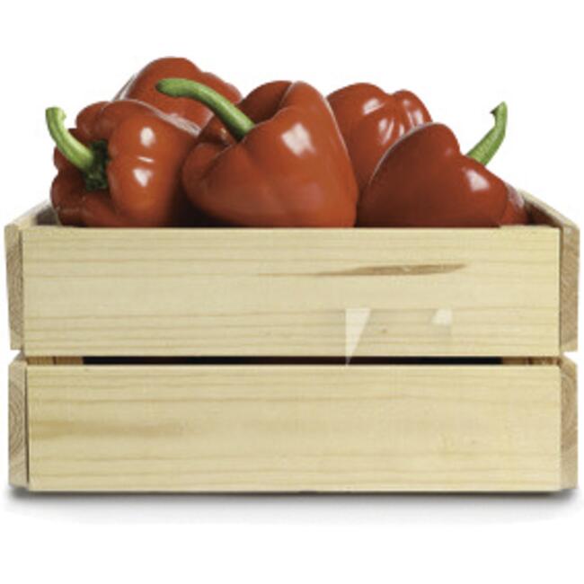 Pimentão Vermelho 9kg